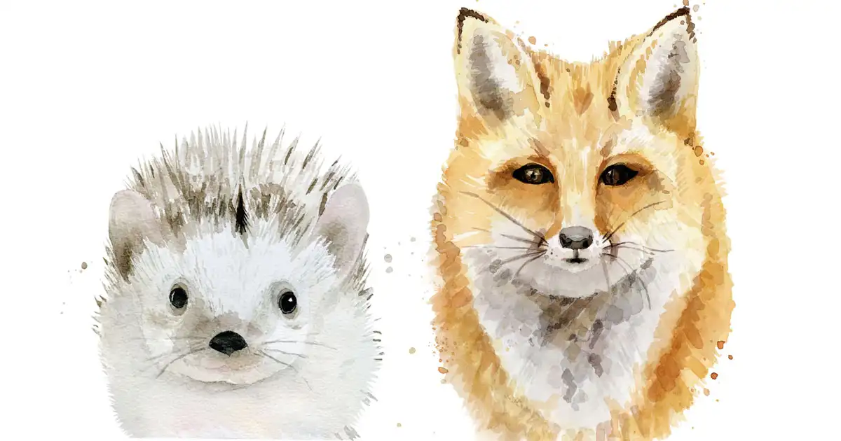 Comment le Renard et le Hérisson se sont affrontés