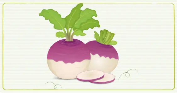 How the Fox Stole Grandfather's Wonder Turnip