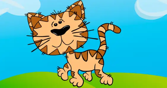 Kitten Maxik