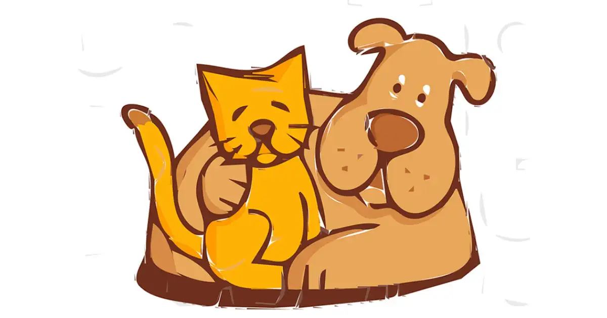 Chó và Mèo — Những Người Bạn Tốt Nhất