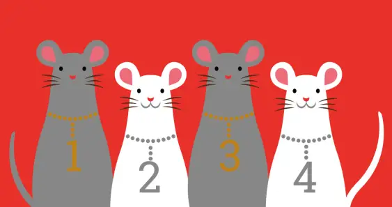 El cuento de las hermanas ratoncitas
