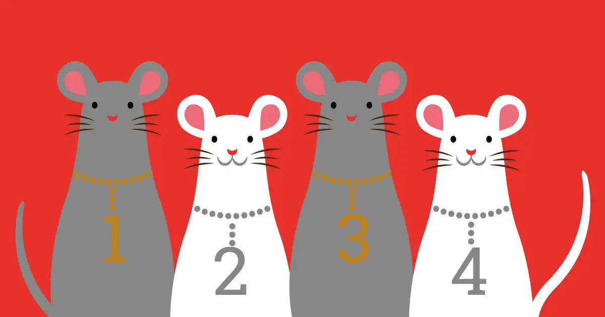 Le Conte des Quatre Petites Souris Sœurs