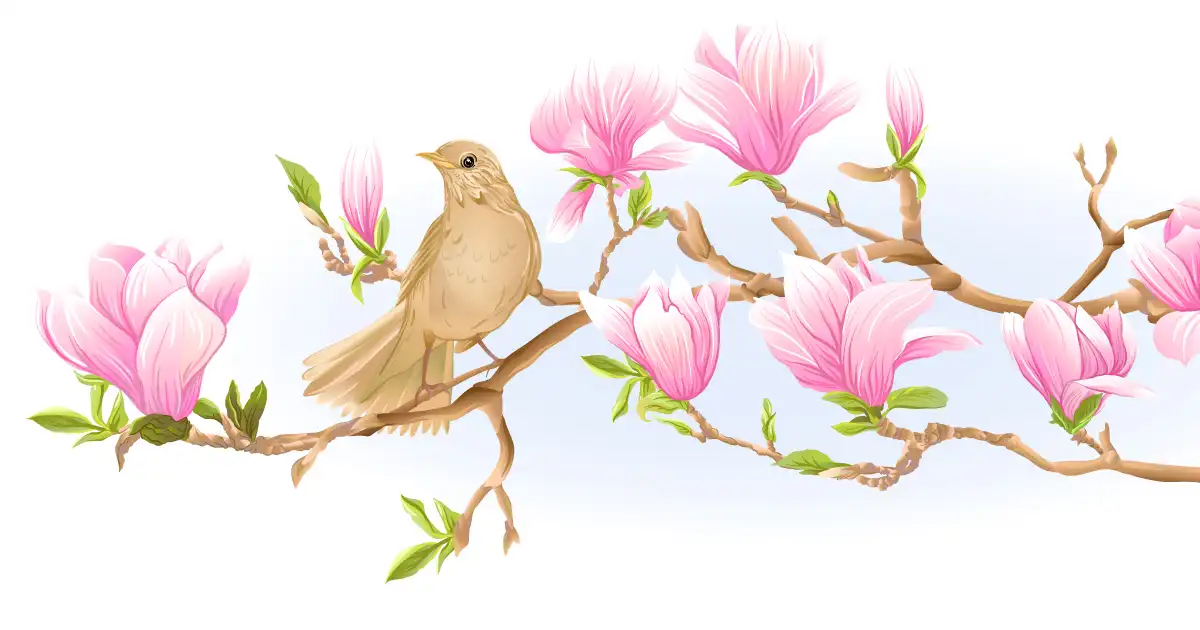 O Conto da Primavera Atrasada
