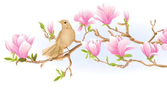 The Tale of the Belated Spring