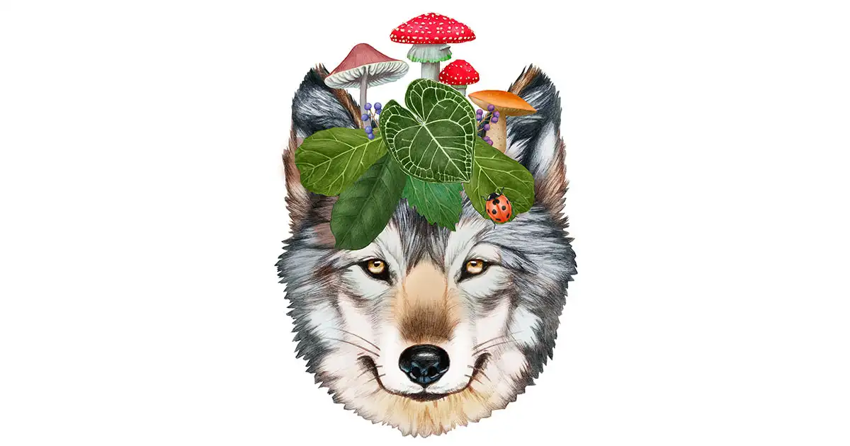 Le Secret de la Forêt Magique