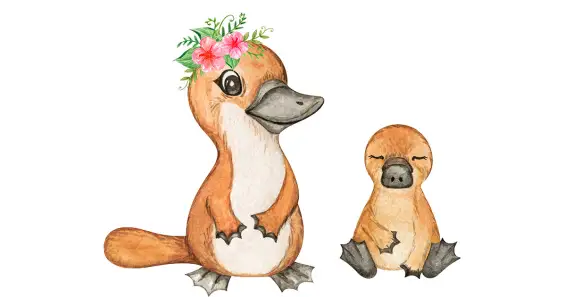 Cómo el Ornitorrinquito y el Dinosaurito se convirtieron en los mejores amigos