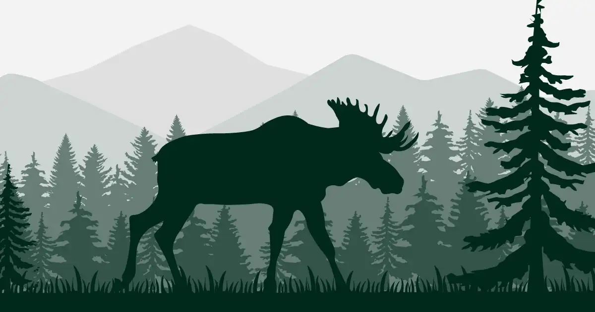 Wie die Elche bei dem Förster zu Gast waren, oder Ferien im Uralwald